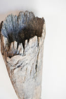 荒川蓮太郎<br>掛花入 - ヴィンテージ SHARK ATTACK