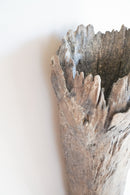 荒川蓮太郎<br>掛花入 - ヴィンテージ SHARK ATTACK