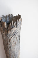 荒川蓮太郎<br>掛花入 - ヴィンテージ SHARK ATTACK