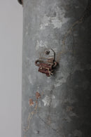 ブリキ缶 <br>大和店、大阪店 - ヴィンテージ SHARK ATTACK