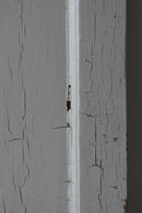 ウッド シングルドア 15<br>ヴィンテージ<br>大和店 - ヴィンテージ SHARK ATTACK