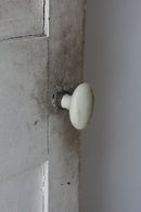 ウッド シングルドア 50<br>ヴィンテージ<br>大和店 - ヴィンテージ SHARK ATTACK