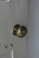 ウッド シングルドア 51<br>ヴィンテージ<br>大和店 - ヴィンテージ SHARK ATTACK