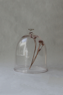 菊地大護<br>dome (XL)<br>reload店 - ヴィンテージ SHARK ATTACK