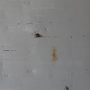 アイアンシェルフ<br>ヴィンテージ<br>大和店 - ヴィンテージ SHARK ATTACK