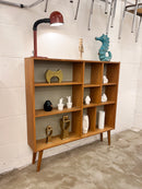 オープンシェルフ <br> cerote antiques - ヴィンテージ SHARK ATTACK