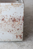 スタッキング ツールボックス <br>大和店 - ヴィンテージ SHARK ATTACK