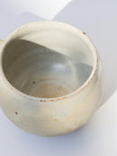 中西 忠博<br>しろまるカップ<br>reload店 - ヴィンテージ SHARK ATTACK