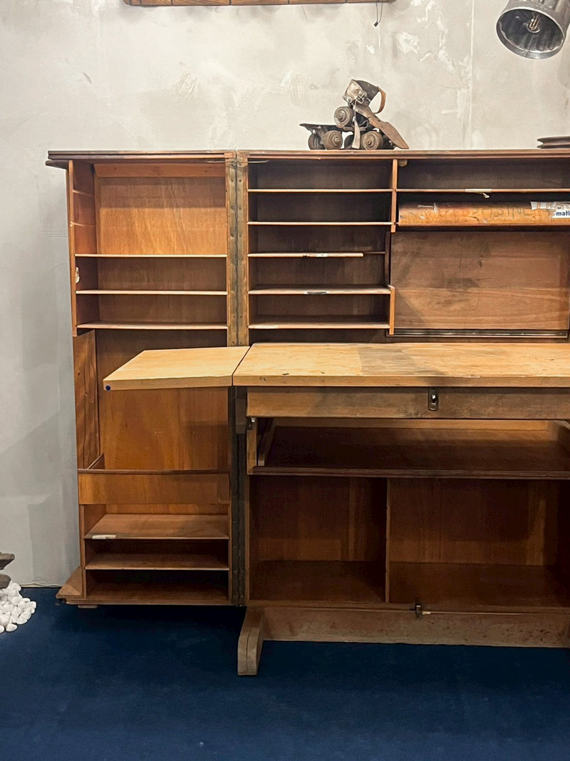 トランクデスク <br> cerote aniques - ヴィンテージ SHARK ATTACK