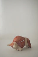 Otto Keramik <br>Bull 1010 L <br>Otto Keramik Tokyo・大阪店・TAMAGAWA BASE