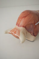 Otto Keramik <br>Bull 1010 L <br>Otto Keramik Tokyo・大阪店・TAMAGAWA BASE