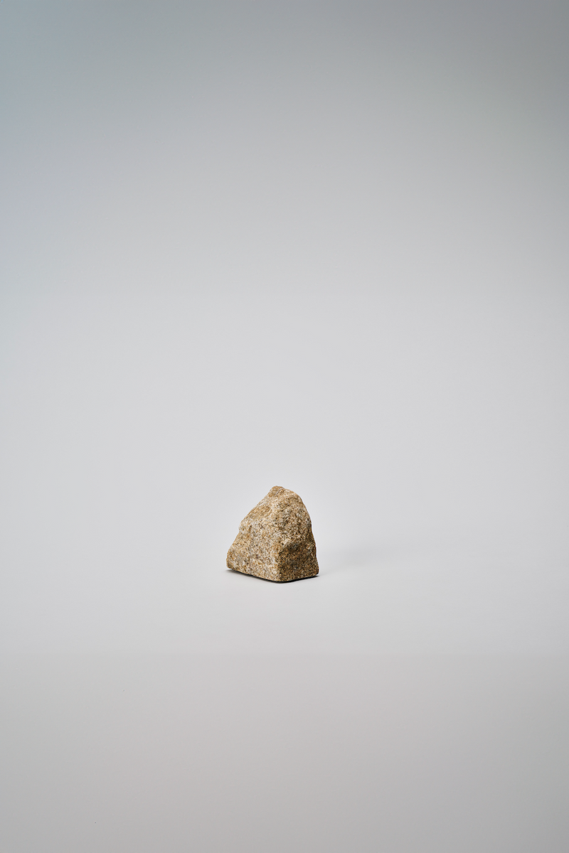 AJI PROJECT <br> RS - ROCK END / S / sabi <br>reload店 - ヴィンテージ SHARK ATTACK