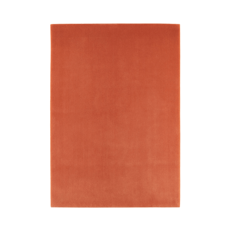 山形緞通　スタンダードライン MANYO - HANEZU-<br>bob`s box - ヴィンテージ SHARK ATTACK