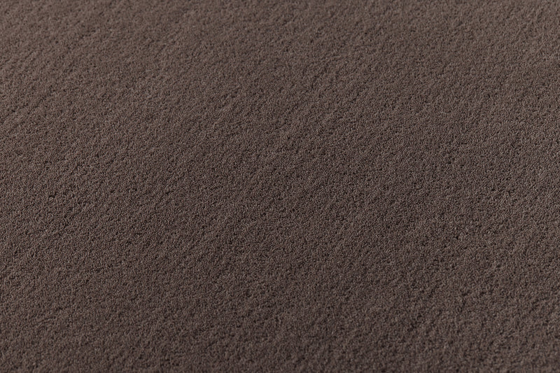 山形緞通　スタンダードライン NEW CRAFTON -No.6 <br>bob`s box - ヴィンテージ SHARK ATTACK