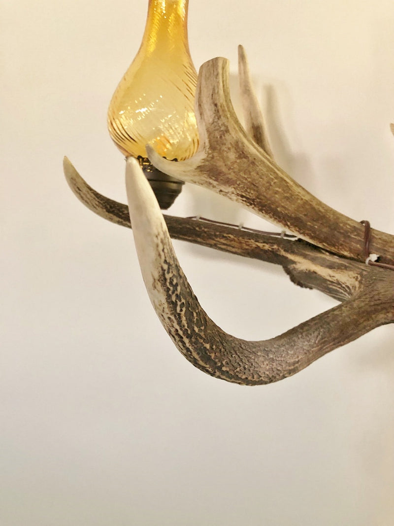 Vintage French made 5-light deerhorn chandelier Haneda store<br>