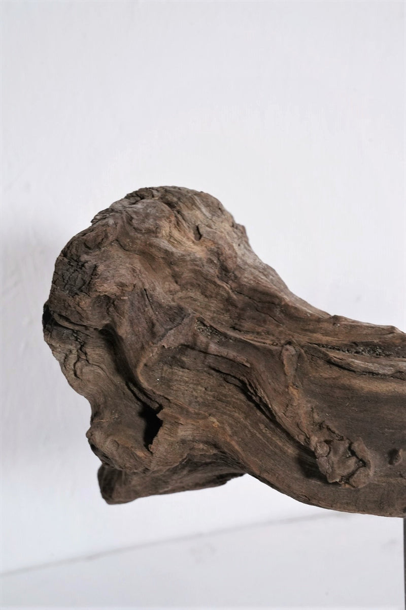 Driftwood object (a)<br> vintage<br> Osaka store