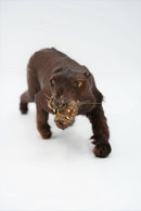 アニマルモチーフ オブジェ<br>オブジェ <br>大阪店 - ヴィンテージ SHARK ATTACK