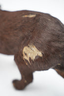 アニマルモチーフ オブジェ<br>オブジェ <br>大阪店 - ヴィンテージ SHARK ATTACK