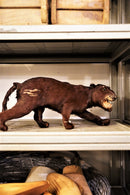 アニマルモチーフ オブジェ<br>オブジェ <br>大阪店 - ヴィンテージ SHARK ATTACK