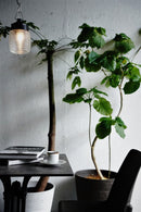 ガラスペンダントランプ<br>大阪店 - ヴィンテージ SHARK ATTACK