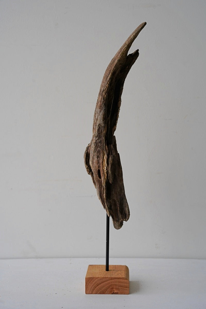 Driftwood object A-4<br> Sendagaya store