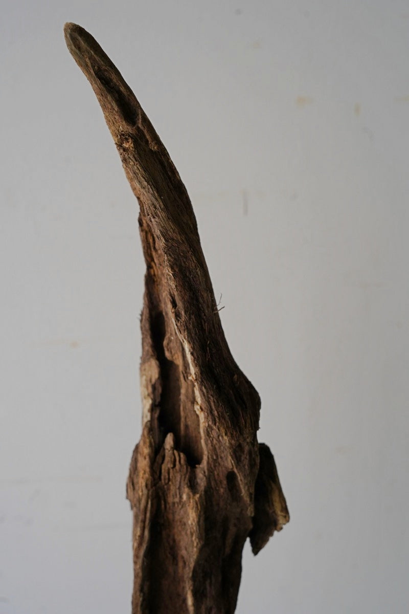 Driftwood object A-4<br> Sendagaya store