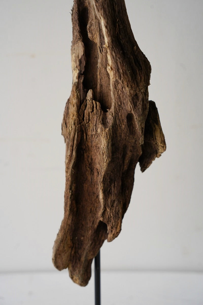 Driftwood object A-4<br> Sendagaya store