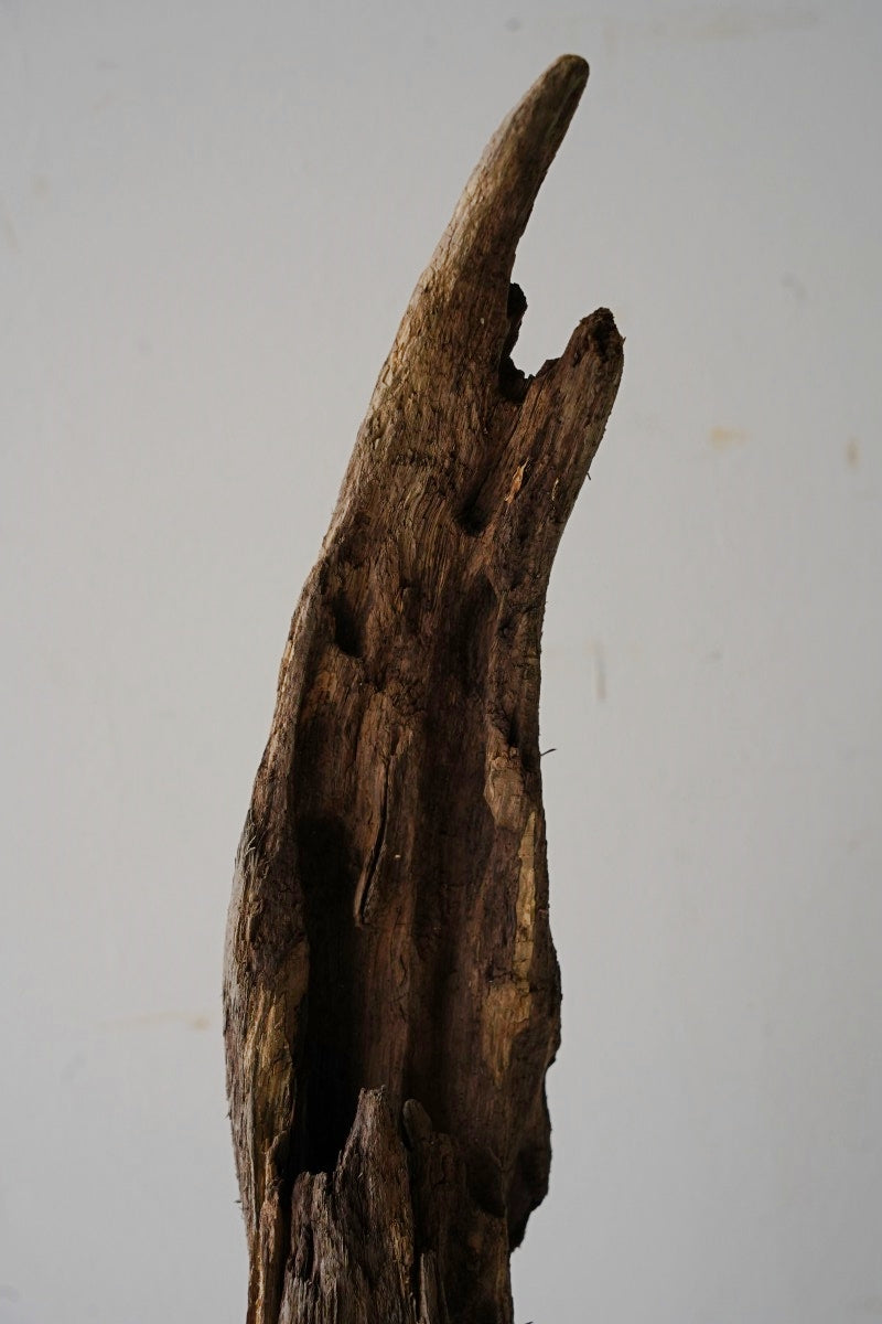 Driftwood object A-4<br> Sendagaya store