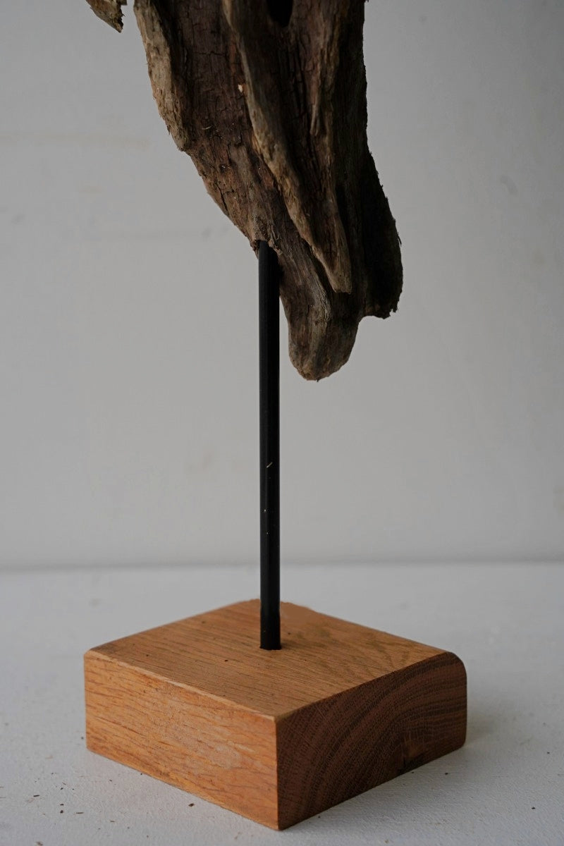 Driftwood object A-4<br> Sendagaya store