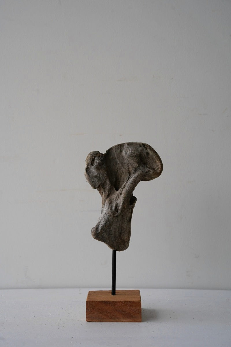 Driftwood object A-2<br> Sendagaya store