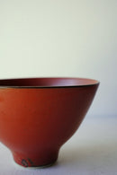 MORI<br>碗<br>テラコッタ - ヴィンテージ SHARK ATTACK