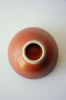 MORI<br>碗<br>テラコッタ - ヴィンテージ SHARK ATTACK