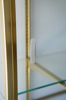 ガラスショーケース(B) <br>ヴィンテージ <br>大和店 - ヴィンテージ SHARK ATTACK