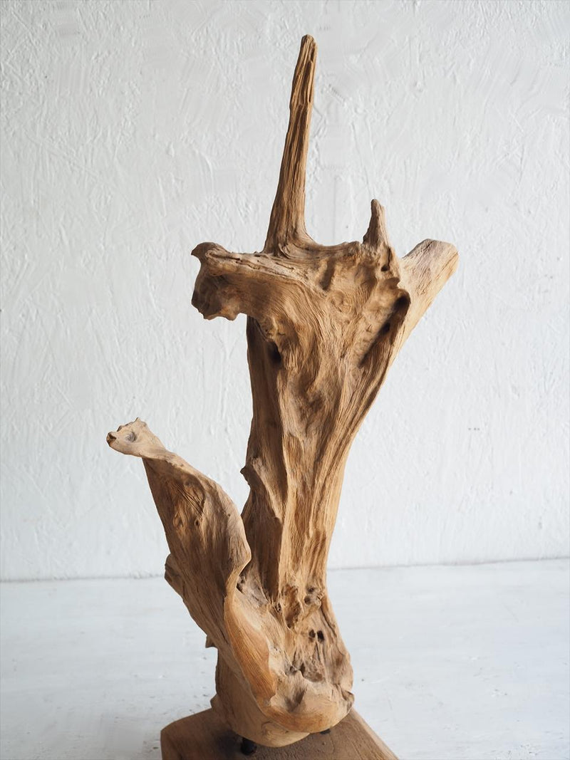 Vintage driftwood object (Osaka store)_vnz-210611-1-o