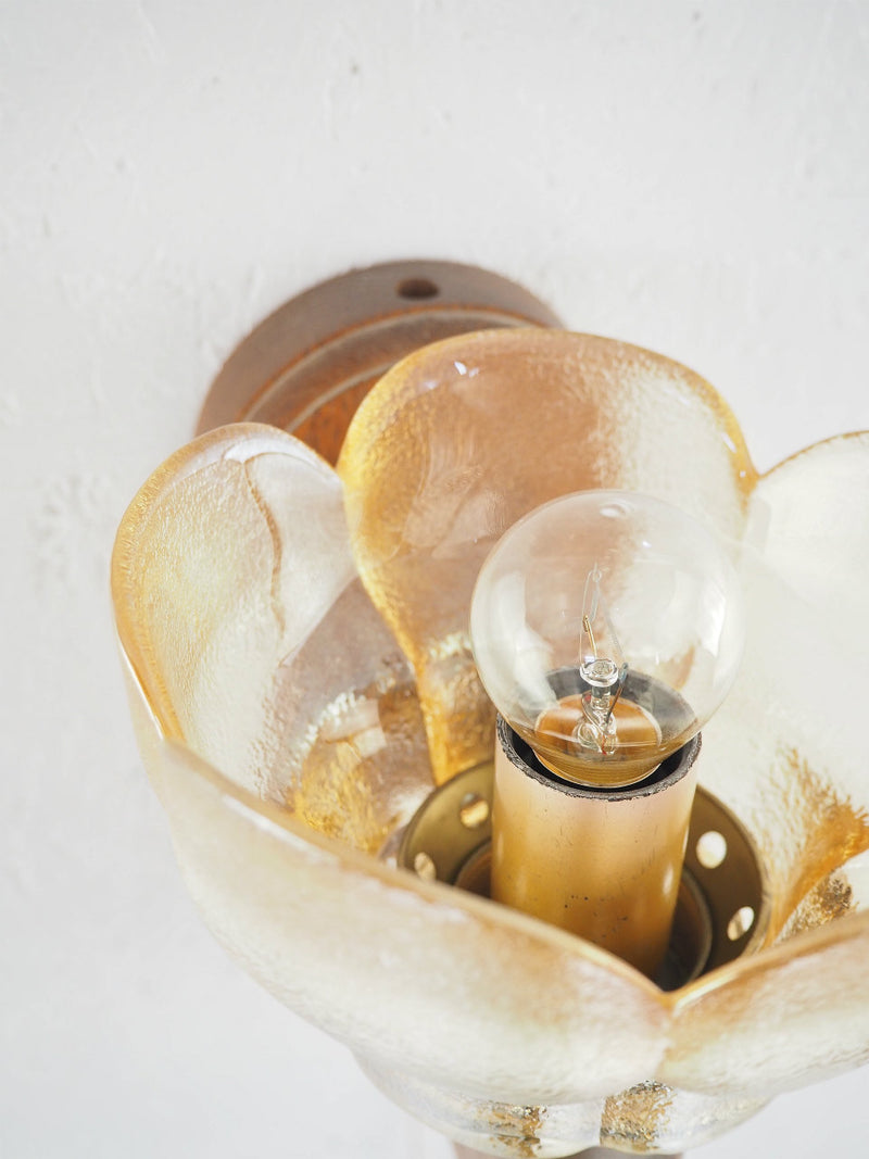 vintage<br> Amber glass x oak wood bracket lamp Haneda store