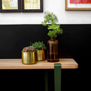 TIPTOE <br>Table and desk leg – 75 cm<br>ROSEMARY GREEN<br>大和店・cerote antiques - ヴィンテージ SHARK ATTACK