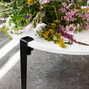 TIPTOE<br>Coffee table and bench leg – 43 cm <br>GRAPHITE BLACK <br>cerote antiques - ヴィンテージ SHARK ATTACK